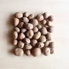 Baby Potato
